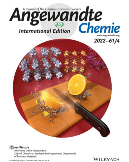 Angewandte Chemie, 61 (2022)